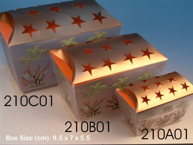210A01 (Pack of 10)