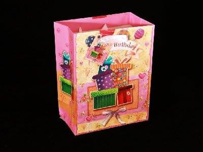 No. 13 Gifts Birthday Paper Bag (Pack of 10)