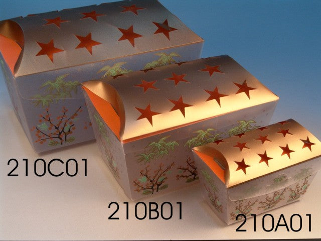 210C01 (Pack of 10)