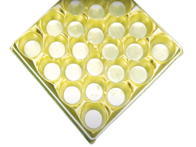 24 Cav. Round Tray Only (Pack of 6)